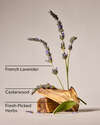 Kitchen Lavender Counter Spray