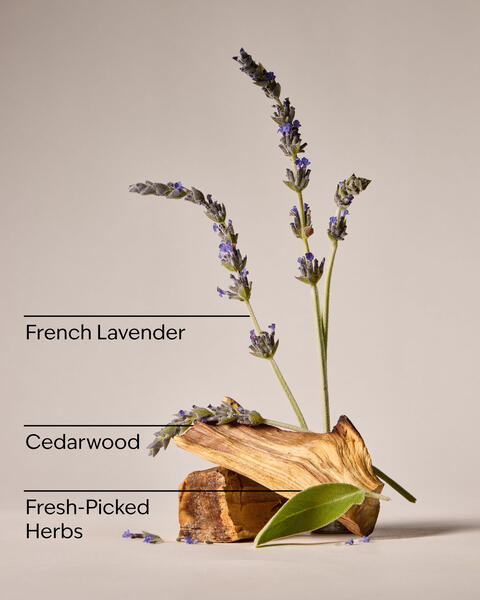 Kitchen Lavender Counter Spray