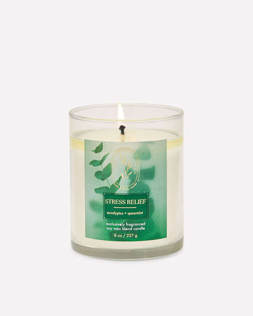 Eucalyptus Spearmint Single Wick Candle
