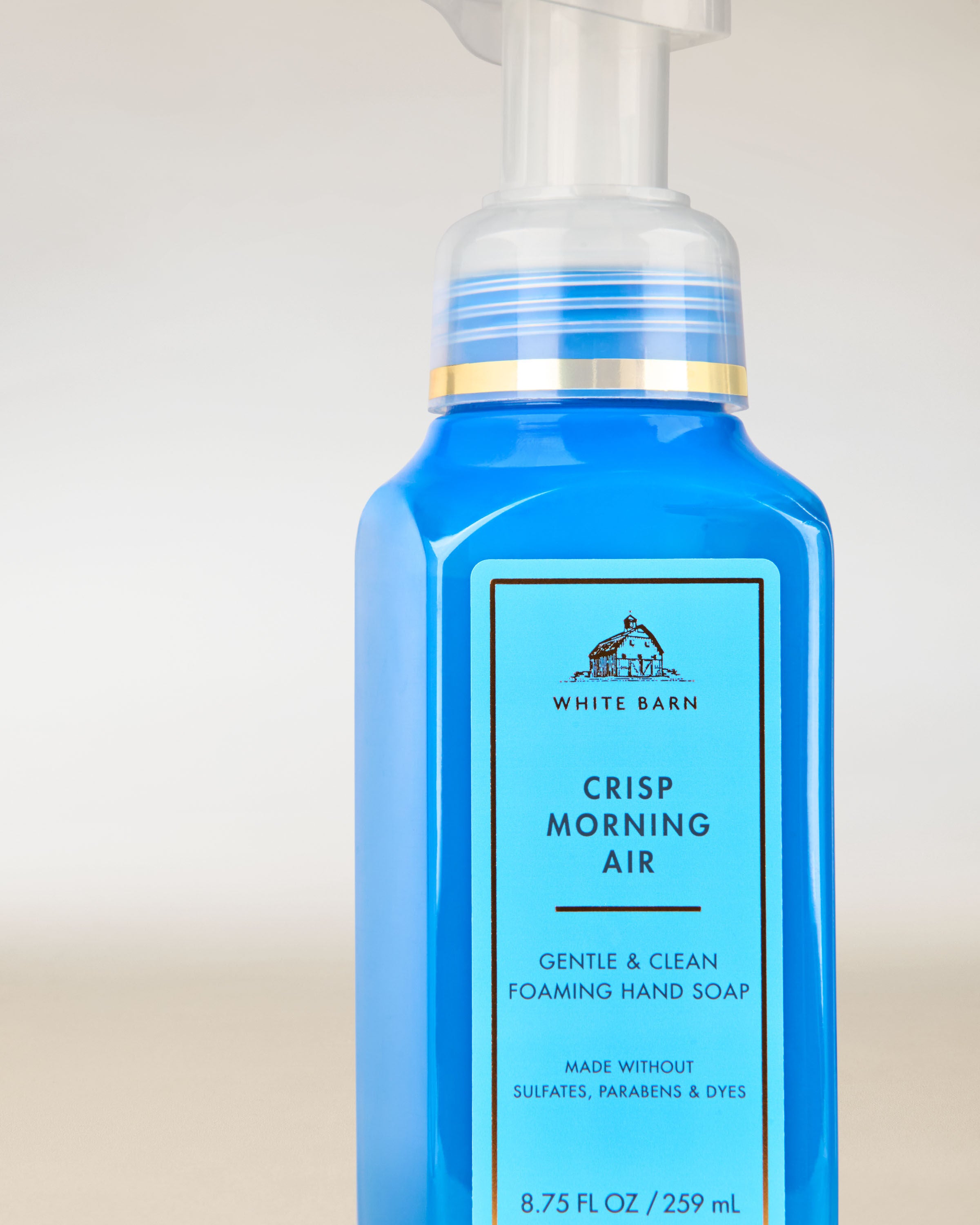 Crisp Morning Air Foaming Hand Soap | Bath & Body Works