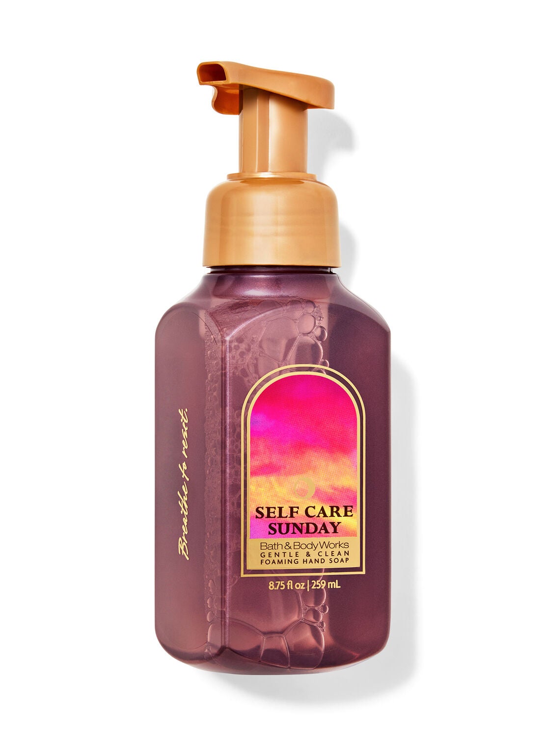 Dragonfruit & Palm Leaves Gentle & Clean Foaming Hand Soap