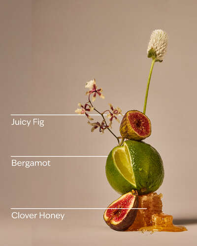 Wildflower Honey & Fig Cleansing Gel Hand Soap