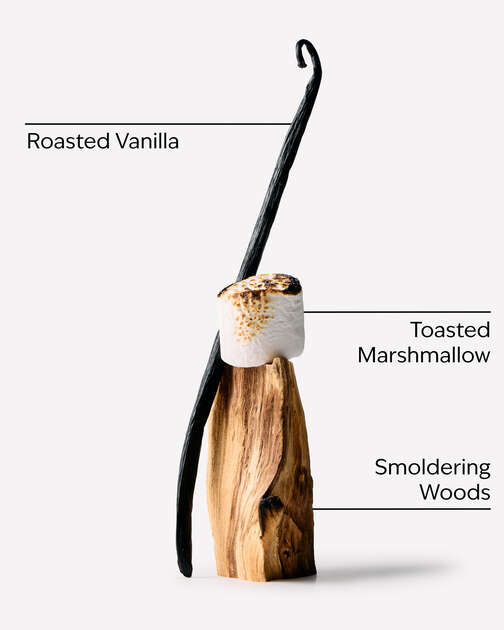 Marshmallow Fireside Wallflowers Fragrance Refill