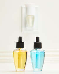 Fresh Amalfi Lemon Wallflowers Refills 2-Pack