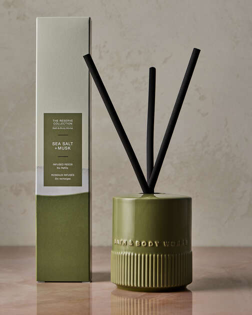 Sea Salt + Musk Fragrance Infused Liquidless Reeds