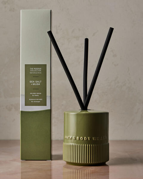 Sea Salt + Musk Fragrance-Infused Liquidless Reeds