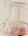 Champagne Toast  Gentle & Clean Foaming Hand Soap