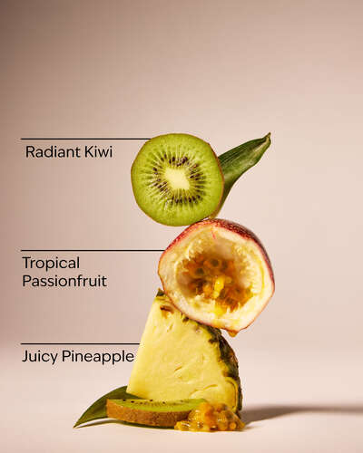 Aloha Kiwi Passionfruit Wallflowers Refills 2-Pack