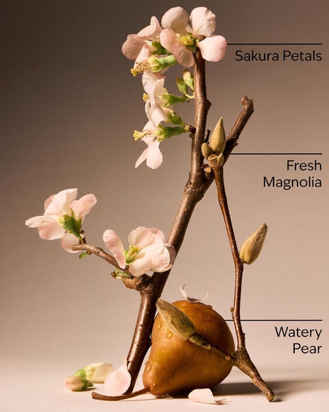 Forever Cherry Blossom Body Wash