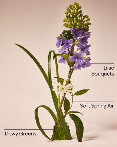 Fresh Cut Lilacs Laundry Detergent