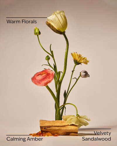 Warm Summer Evening Single Wick Candle