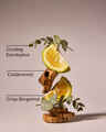 Onyx Frost Hanging Fragrance Diffuser