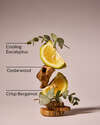 Onyx Frost Hanging Fragrance Diffuser