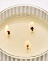 Firecracker Pop 3-Wick Candle
