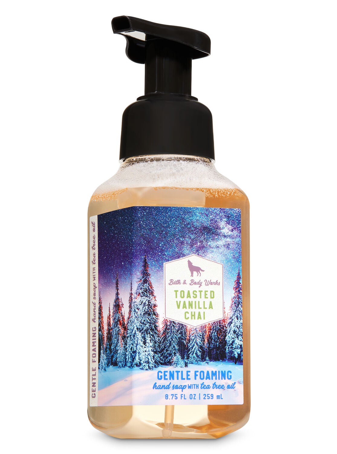 Toasted Vanilla Chai Gentle Foaming Hand Soap - Bath And Body Works