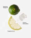 Bergamot Waters Wallflowers Refills 2-Pack