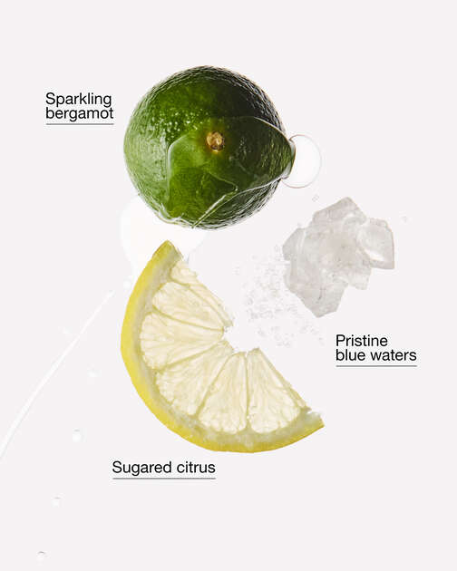 Bergamot Waters Wallflowers Refills 2-Pack