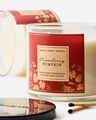 Cranberry Pumpkin 3-Wick Candle