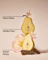 Blush Amber & Peony 3-Wick Candle
