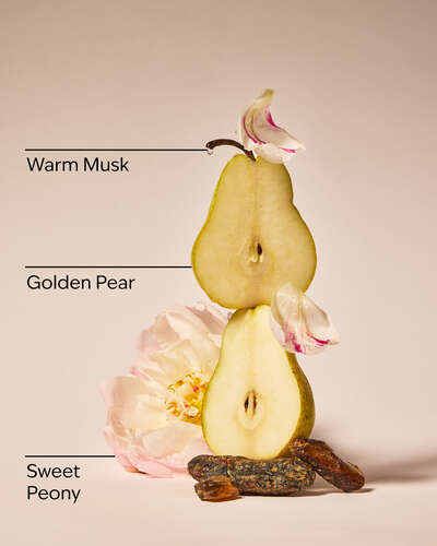 Blush Amber & Peony 3-Wick Candle