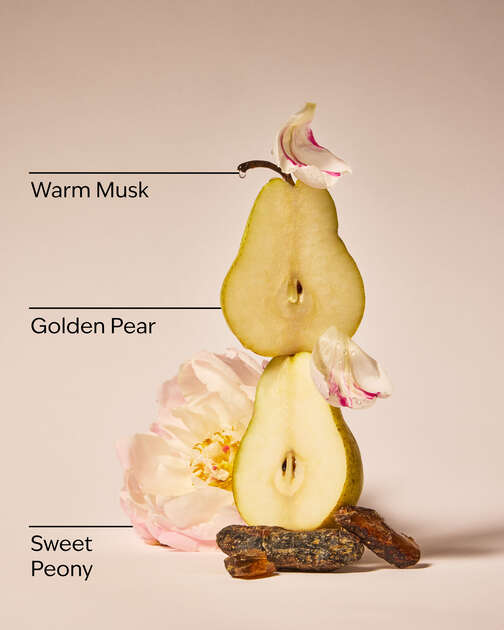 Blush Amber & Peony 3-Wick Candle