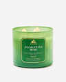 Eucalyptus Mint 3-Wick Candle