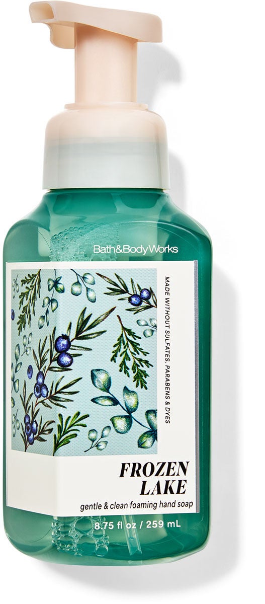 Frozen Lake Gentle & Clean Foaming Hand Soap