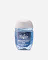 Winterberry Ice PocketBac Hand Sanitizer