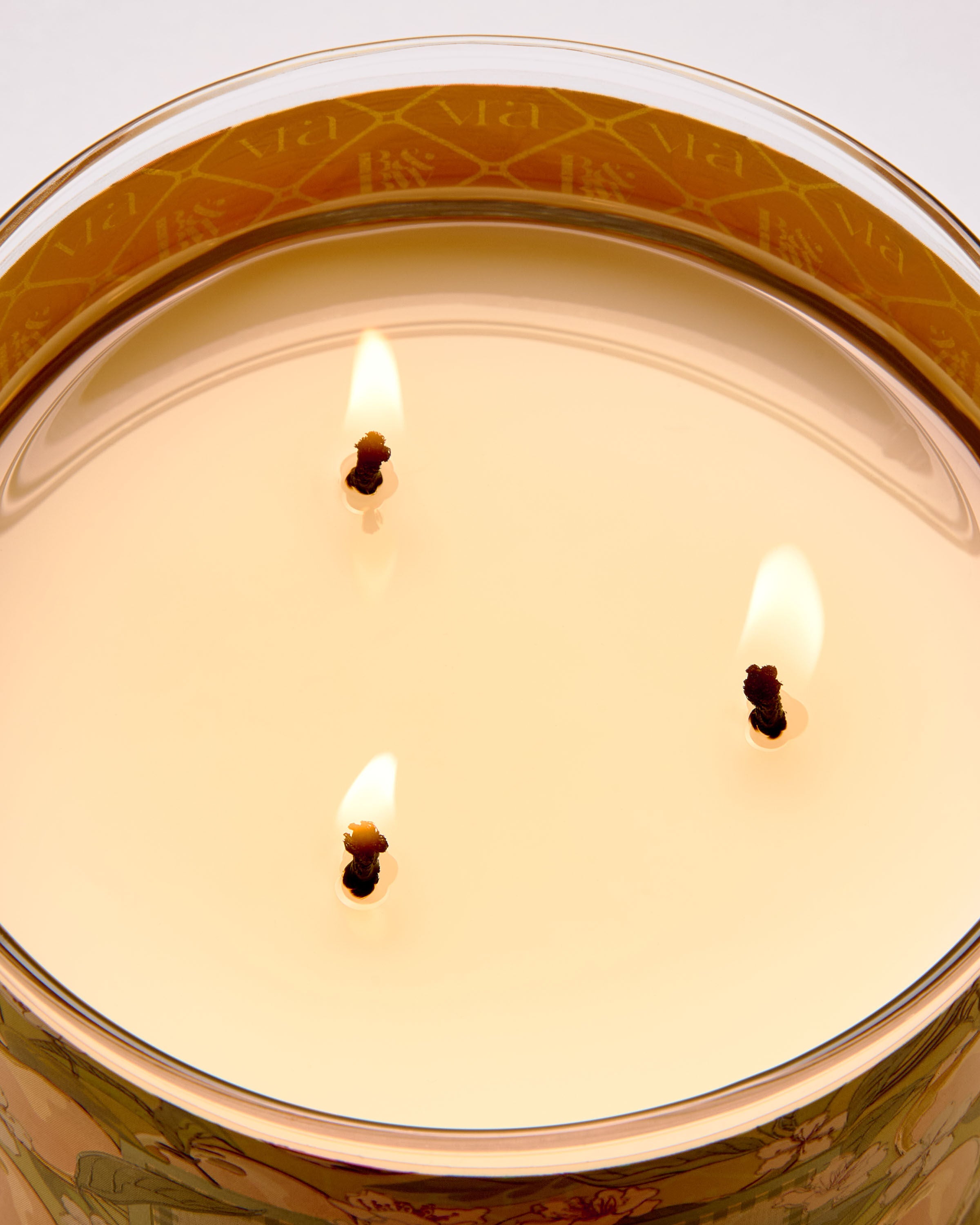 Peach Blossom & Nectar 3-Wick Candle | Bath & Body Works
