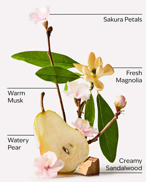 Forever Cherry Blossom Body Lotion