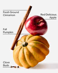 Pumpkin Apple Wallflowers Fragrance Refill