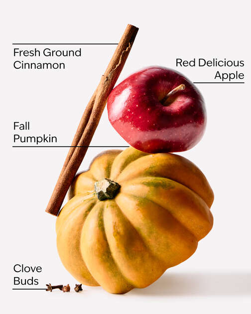 Pumpkin Apple Wallflowers Fragrance Refill