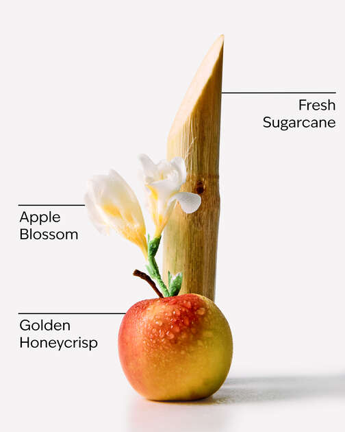 Honeycrisp Apple Wallflowers Fragrance Refill