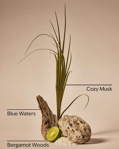 Bergamot & Musk Single Wick Candle