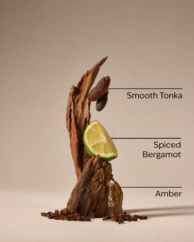 After Dark Antiperspirant Deodorant