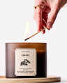 Leaves 3-Wick Candle