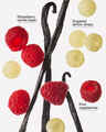 Raspberries & Whipped Vanilla Hand Sanitizer Spray