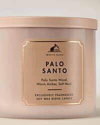 Palo Santo & Sage 3-Wick Candle
