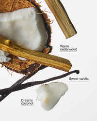Toasted Coconut Creme Gentle & Clean Foaming Hand Soap