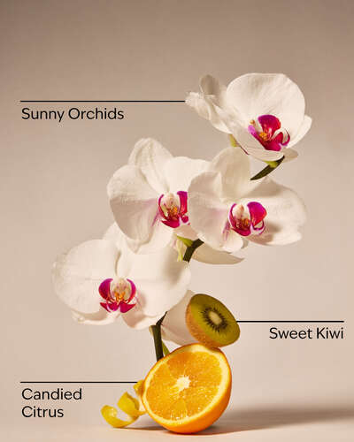 Pink Kiwi Berry PocketBac Hand Sanitizer