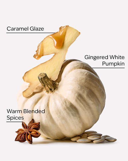 White Pumpkin Wallflowers Fragrance Refill