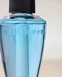 Sandbar Wallflowers Fragrance Refill