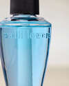 Sandbar Wallflowers Fragrance Refill