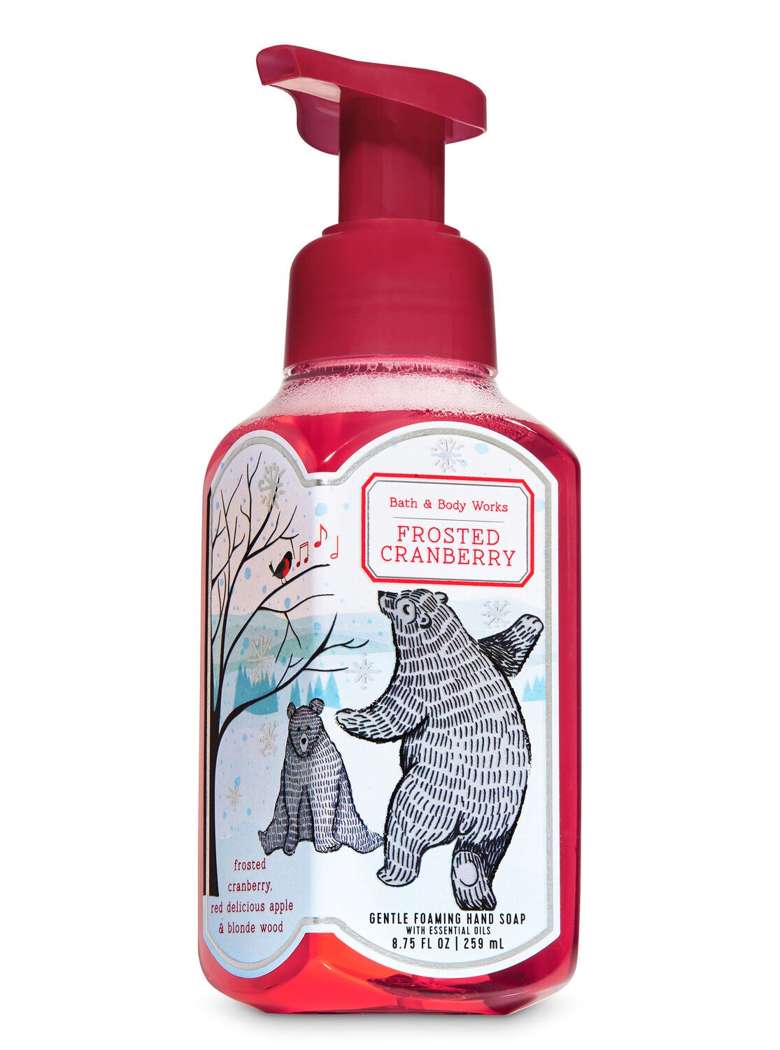 Frosted Cranberry Gentle Foaming Hand Soap - Bath And Body Works