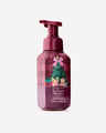 The Perfect Christmas Gentle & Clean Foaming Hand Soap