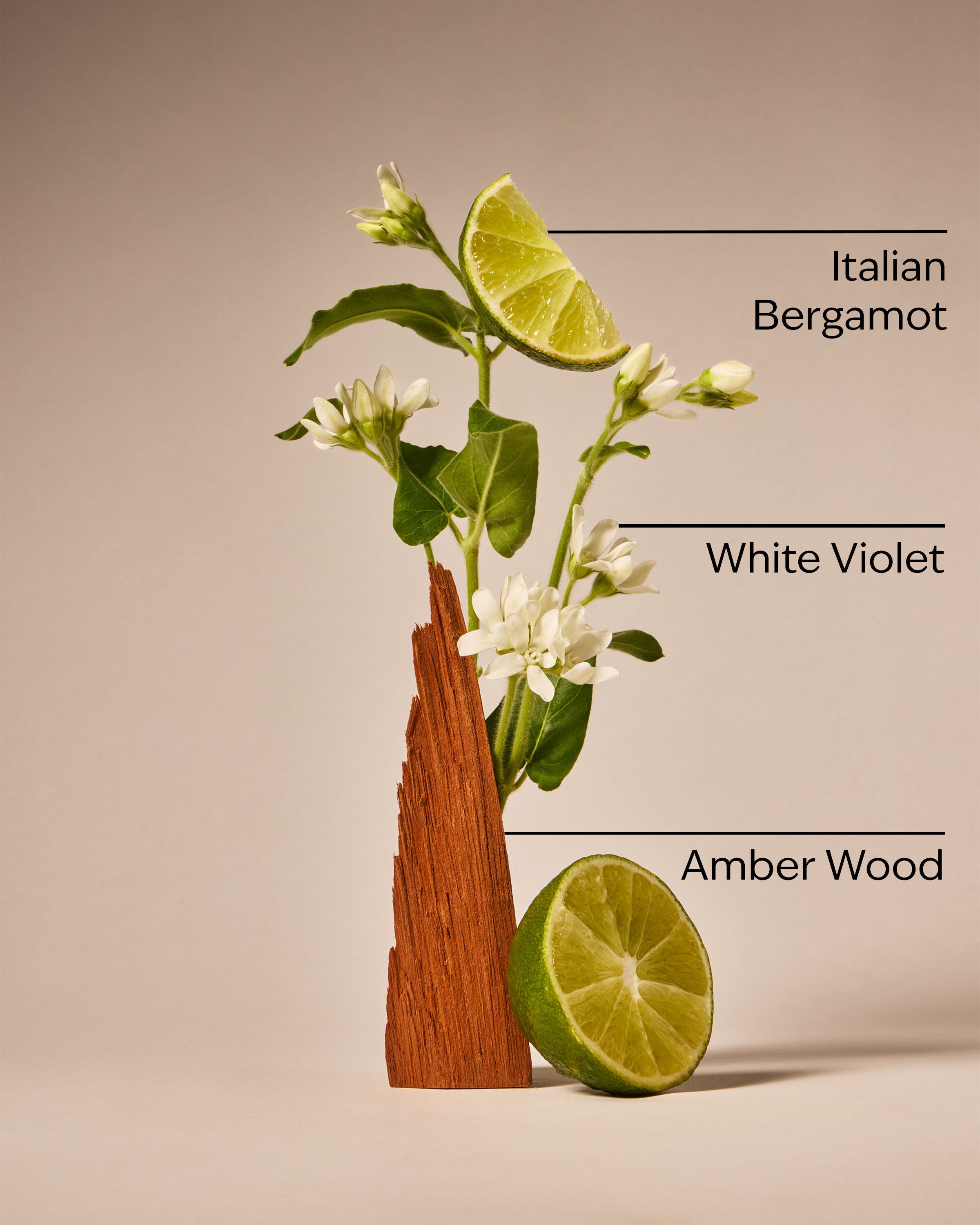 Sunwashed Santal Gentle & Clean Foaming Hand Soap Foaming Hand