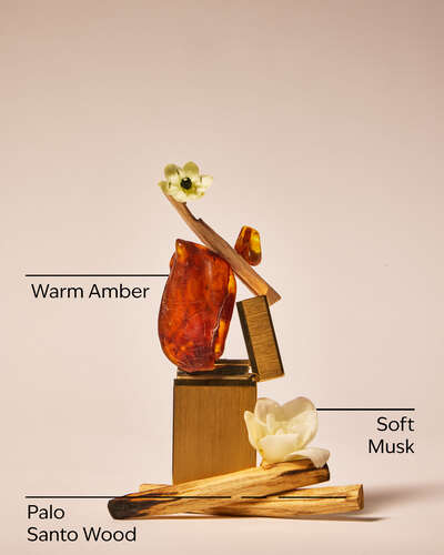 Palo Santo 3-Wick Candle