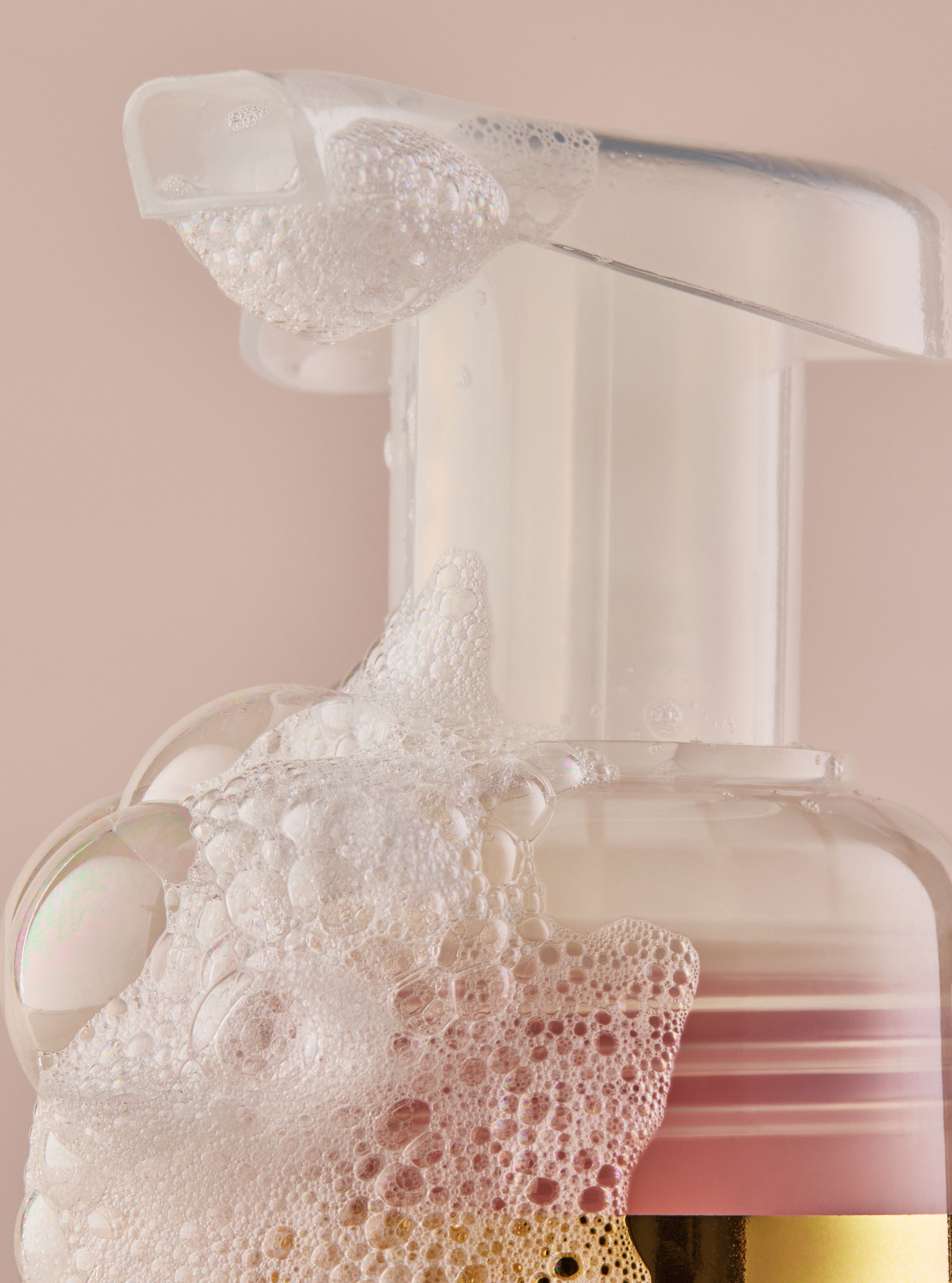 Champagne Toast  Gentle & Clean Foaming Hand Soap