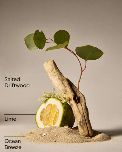 Sea Salt Coast 3-Wick Candle