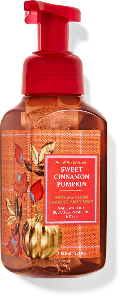 Sweet Cinnamon Pumpkin Gentle & Clean Foaming Hand Soap